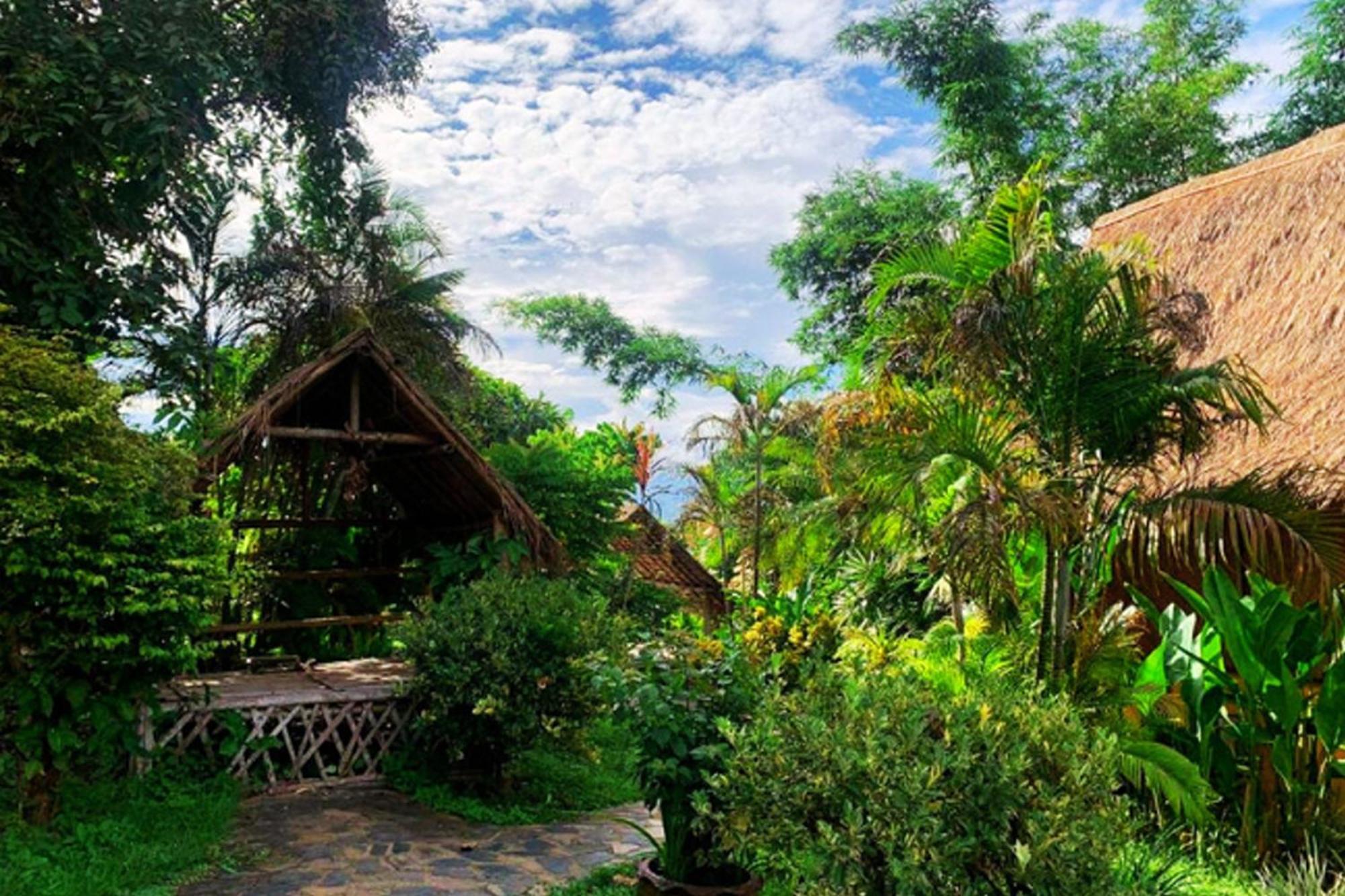 Old Tree'S House Hotel Mae Ai Bagian luar foto